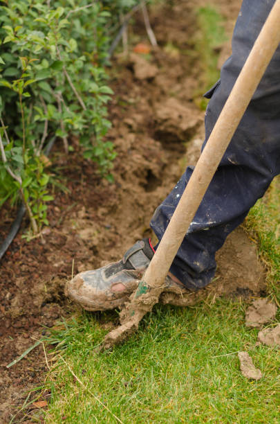 istock The man digs a hole to planting 1077595142