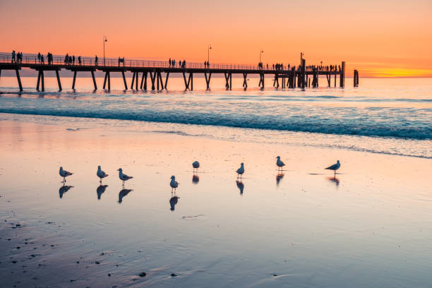 istock Iconic Glenelg Beach with jetty at sunset 1077598400