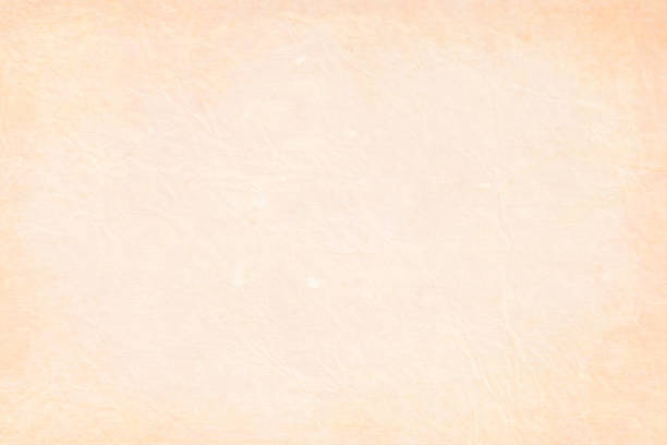 오래 된 구겨진된 모습 크림 베이지색 흰색 blotches 장소에서 떨어져와 텍스처 벡터 배경 가로 그림, 벽 그런 지 효과, 나무 색. - old paper mottled rectangular shape stock illustrations