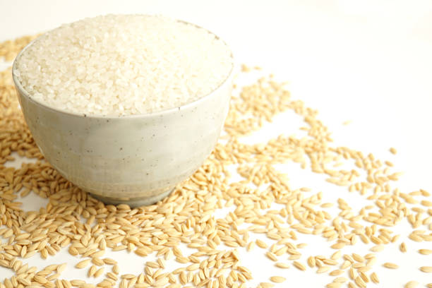 A lot of rice and rice.