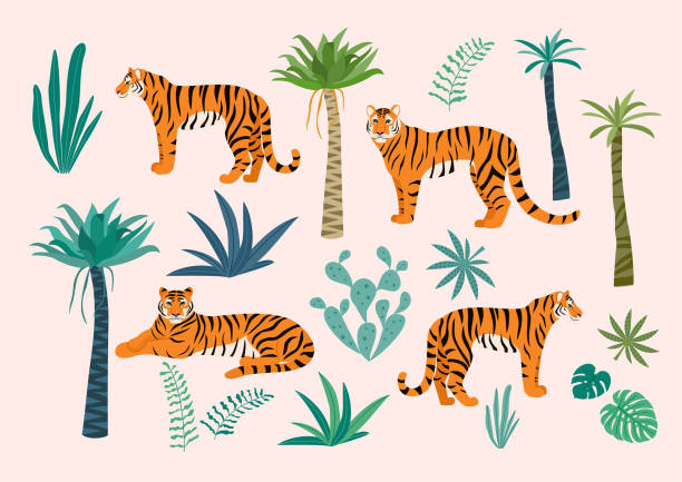 Set of tigers and tropical leaves. Trendy vector illustration. Set of tigers and tropical leaves. Trendy vector illustration. safari animals cartoon stock illustrations