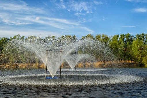 Fountain shower sparkling in autumn parkland lake