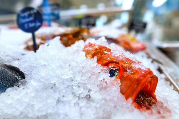 istock fishes in ice in the restaurant 1077622688