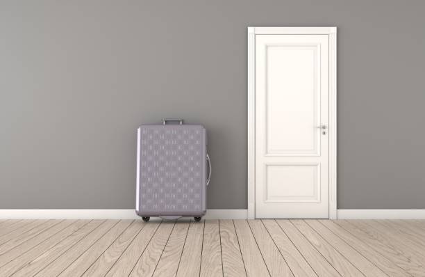 Modern interior room with door and valise