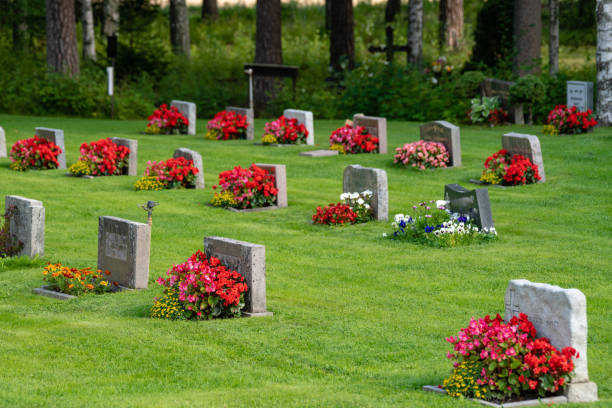 istock Rows of gravestones with red and pink flowers 1077629148