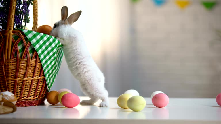 Neugierig Osterhase in der Nähe von Korb und gefärbten Eiern, religiöse Frühlingsfest