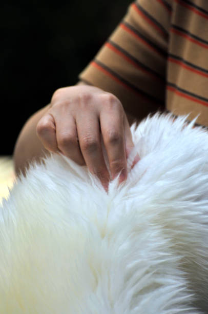 istock Chinese women is choosing white wool fur. 1077630792