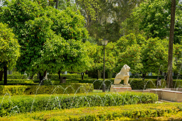 maria luisa park na capital da andaluzia, sevilha na espanha - national landmark architectural styles sevilla seville - fotografias e filmes do acervo