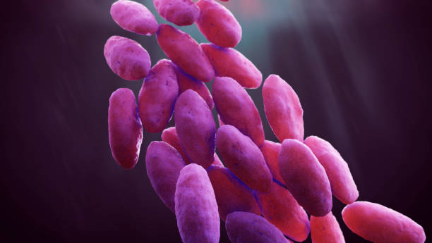 carbapenem-resistant enterobacteriaceae 3d illustration - esbl imagens e fotografias de stock
