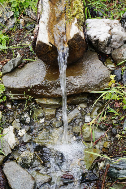 istock spring of water in the forest 1077638522