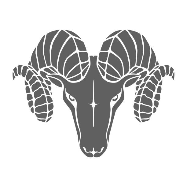 illustrations, cliparts, dessins animés et icônes de aries - bighorn sheep ram sheep horned