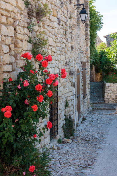 Flowers in a street  at the village of Lurs in Provence France. Lurs France. 15 september 2018. Flowers in a street  at the village of Lurs in Provence France. lur stock pictures, royalty-free photos & images