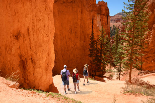 Family hiking in the red mountains on summer vacation. Family hiking in the red mountains on summer vacation. People with backpacks hiking on  Navajo Loop Trail. Bryce Canyon National Park, Utah, USA bryce canyon national park stock pictures, royalty-free photos & images