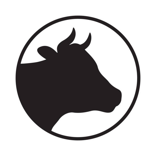 Head cow Sign head cow. Isolated black silhouette head cow in the circle on white background. Vector illustration silhouette of a cowboys logo pic stock illustrations