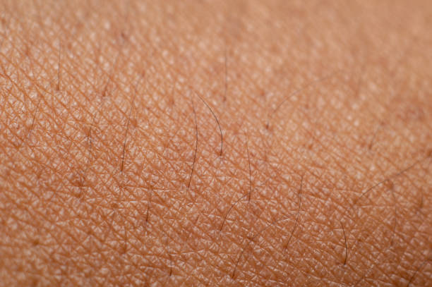 istock Surface human hand arm skin texture close-up 1077650814