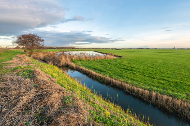 istock Recently cleaned ditch in a Dutch polder 1077660312