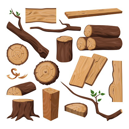 Timber or chopped wooden trunk, wood log and tree twig, lumber branch or carpentry, sawmill material, woodwork plank. Forest and construction, lumbering and forestry, plant theme