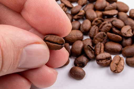 Hand holding a coffee bean between the fingers. Food and drink  background