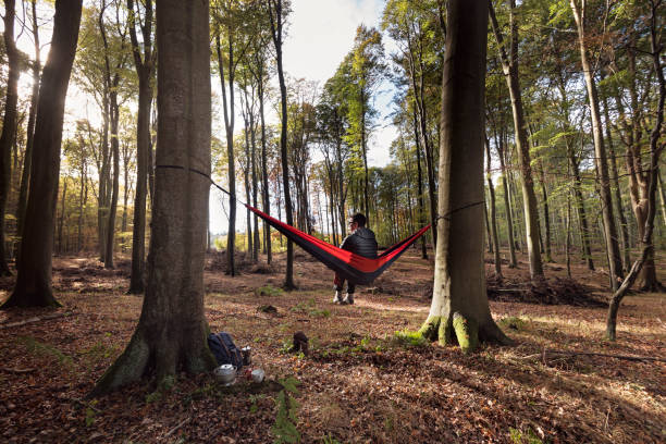 istock Man relaxing in a hammock in the woods 1077665754