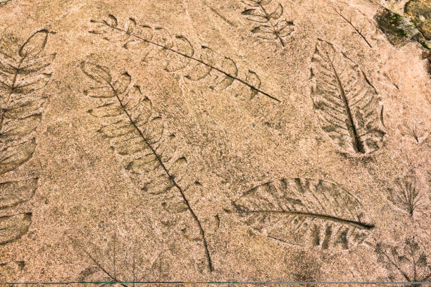istock Marks of nature leafs on the concrete background 1077665928