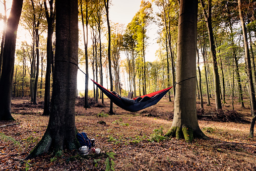 Middle aged man, 53, relaxing in a hammock that is tied up in the forest as the rays of early morning light break through the trees. Colour horizontal with some copy space. Photographed on location in Nordfeld woods on the island of Møn in Denmark.