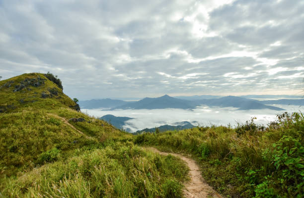 istock A grass path to the mountains,Path to the mountain, cloudy sky,North Thailand 1077668004