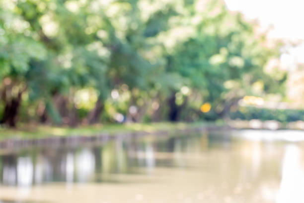 Abstract blur background of natural scenery, with the reflection of nature in the water, with tree on the rim of the river, defocused.