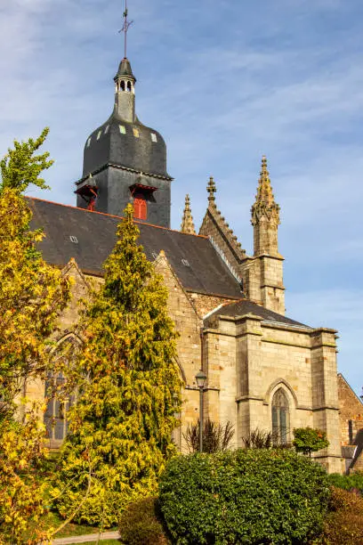 Photo of Ferns. Church of St. Leonard. Ille-et-Vilaine. Brittany