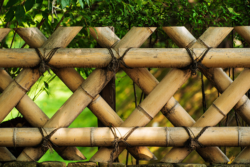 Natural fence. Fence of bamboo stalks,