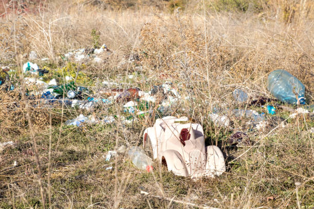 istock child toy on spontaneous waste dump, environmental pollution heritage 1077687300