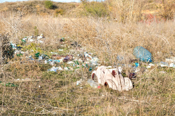 istock child toy on spontaneous waste dump, environmental pollution heritage 1077687682