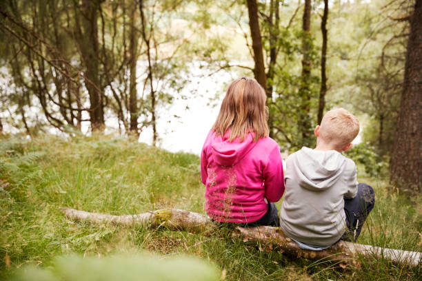 istock Girl and boy sitting together on a fallen tree in a forest, back view 1077689538