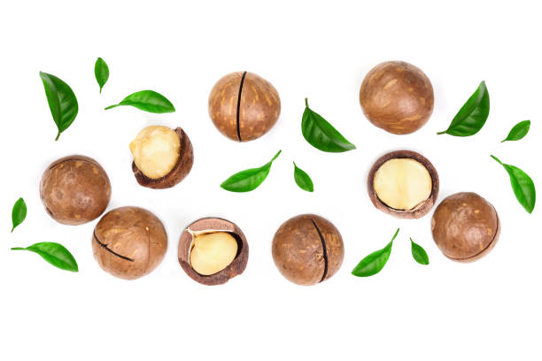 istock Shelled and unshelled macadamia nuts with leaves isolated on white background with copy space for your text. Top view. Flat lay pattern 1077691172