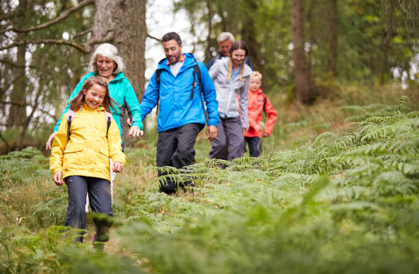 istock Multi generation family walking in line downhill on a trail in a forest during a camping holiday, Lake District, UK 1077691484