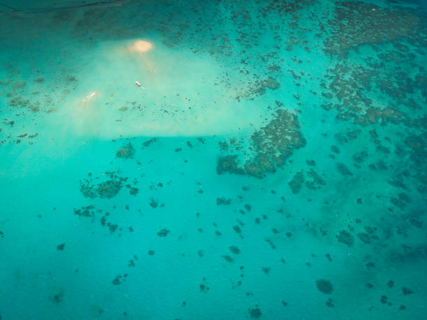 istock The coral reef 
