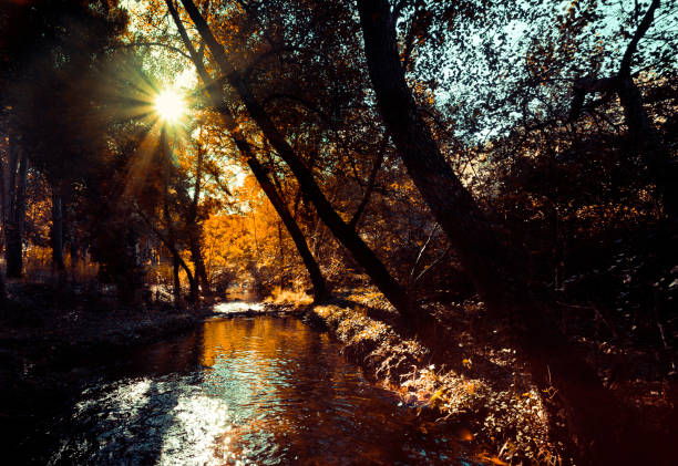 Very beautiful autumnal landscape with sunlight filtering through the trees and reflecting in the water