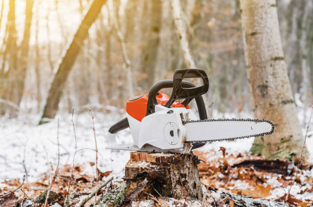 istock Electric chain saw in the woods on a stump. Deforestation. Modern technologies. Ecological problems. Earth Resources. 1077714396