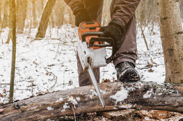 istock Man hands holding an electric chainsaw, saws a tree in the forest. Deforestation. Modern technologies. Ecological problems. Earth Resources. 1077714420
