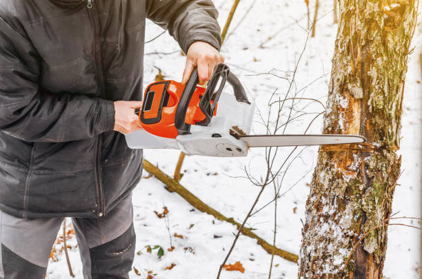 istock Man hands holding an electric chainsaw, saws a tree in the forest. Deforestation. Modern technologies. Ecological problems. Earth Resources. 1077714432