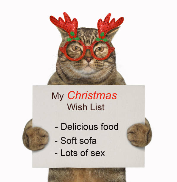 istock Cat holds the Christmas wish list 2 1077714660