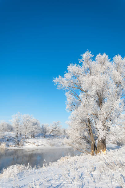 istock winter, winter-tide, winter-time 1077718732