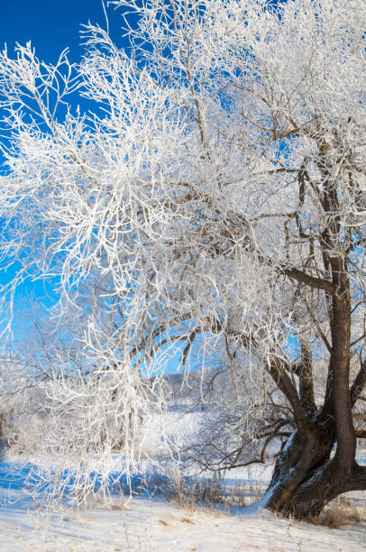 istock winter, winter-tide, winter-time 1077718736