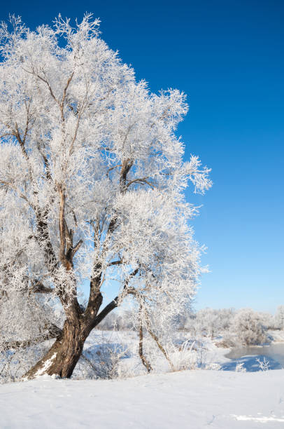 istock winter, winter-tide, winter-time 1077718770