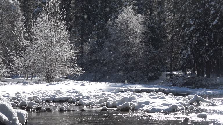 Winter Landscape in Yosemite Valley