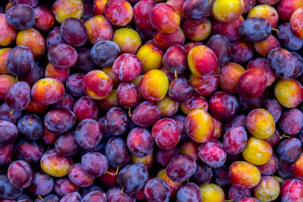 istock Full Frame Shot Of Fruits 1077723214