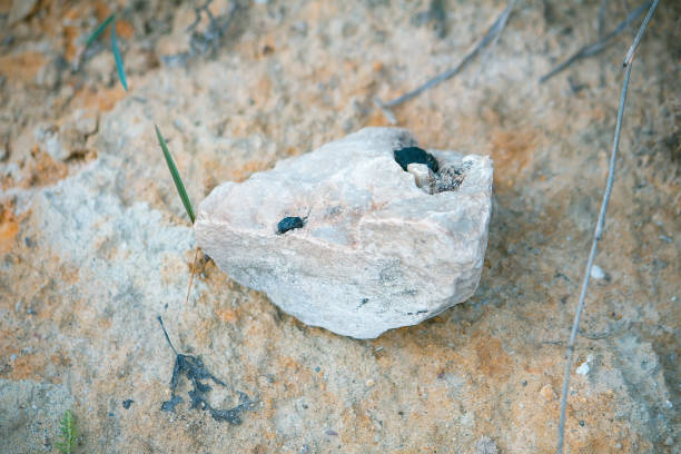 istock White and blue mineral background with rock flint 1077724608