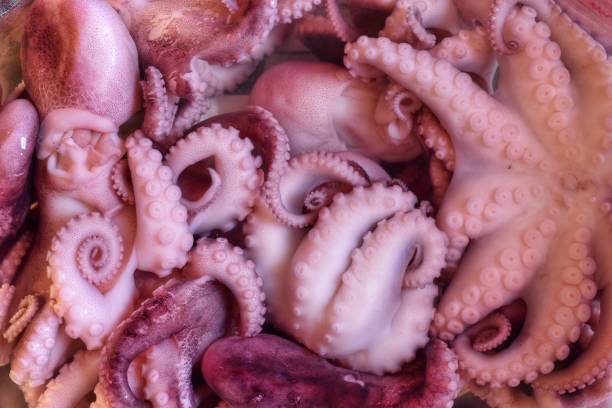 istock Full Frame Shot Of Octopus 1077724834