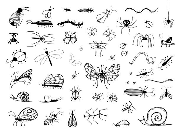 Set of Hand Drawn Insects or Small Animals Sketch Vector Illustration Isolated on White Background Set of Hand Drawn Insects Bugs, Worms, Caterpillar, Butterfly, Spider, Snail and Dragonfly. Small Animals Sketch Vector Illustration Isolated on White Background insect stock illustrations