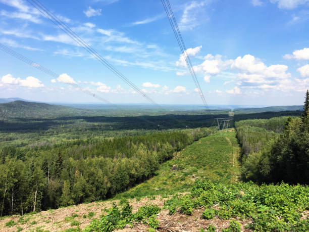 A landscape of electricity pylons in a row and power cable connection through the Boreal Forest in British Columbia, Canada, with a blue sky and white clouds.