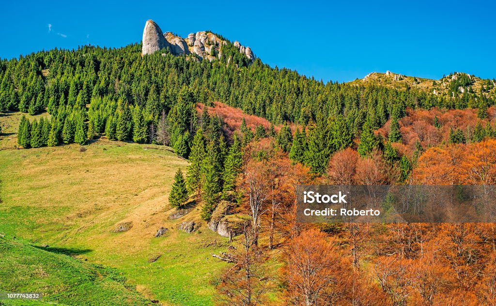 bratocei glade Alpine climate Stock Photo